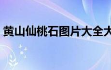 黄山仙桃石图片大全大图（黄山仙桃石图片）