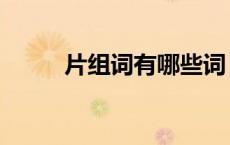 片组词有哪些词（片组词有哪些）