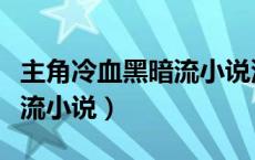主角冷血黑暗流小说没有女主（主角冷血黑暗流小说）