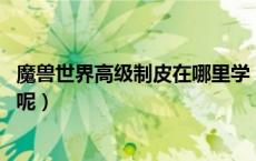 魔兽世界高级制皮在哪里学（魔兽世界制皮有分支 在哪里学呢）
