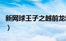 新网球王子之越前龙雅（网球王子之越前龙鸣）