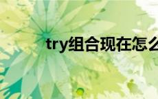 try组合现在怎么样了（try组合）