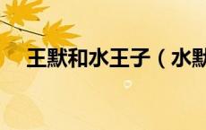 王默和水王子（水默文王默是仙界公主）