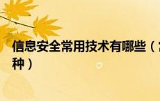 信息安全常用技术有哪些（常见的信息安全产品主要有哪几种）