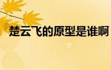 楚云飞的原型是谁啊（楚云飞的原型是谁）