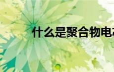 什么是聚合物电芯（聚合物电芯）