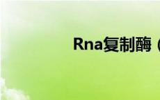 Rna复制酶（rna复制酶）
