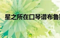 星之所在口琴谱布鲁斯（星之所在口琴谱）