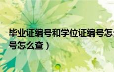 毕业证编号和学位证编号怎么查看（毕业证编号和学位证编号怎么查）