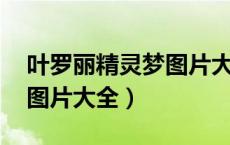 叶罗丽精灵梦图片大全 王默（叶罗丽精灵梦图片大全）