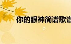 你的眼神简谱歌谱（你的眼神简谱）