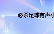 必杀足球有声小说（必杀足球）