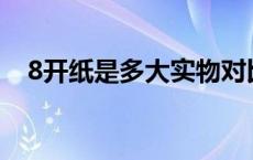 8开纸是多大实物对比（8开纸是多大a3）