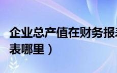 企业总产值在财务报表哪里（总产值在财务报表哪里）
