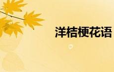 洋桔梗花语（桔梗花语）