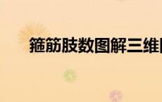 箍筋肢数图解三维图（箍筋肢数图解）