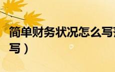 简单财务状况怎么写范文（简单财务状况怎么写）