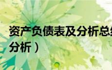 资产负债表及分析总结怎么写（资产负债表及分析）