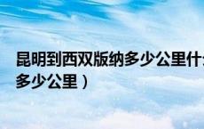 昆明到西双版纳多少公里什么时候有高铁（昆明到西双版纳多少公里）