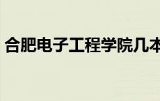 合肥电子工程学院几本（合肥电子工程学院）