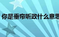 你是垂帘听政什么意思（垂帘听政什么意思）