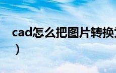 cad怎么把图片转换为线条（cad图片转线条）