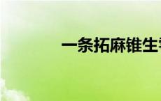 一条拓麻锥生零（一条拓麻）