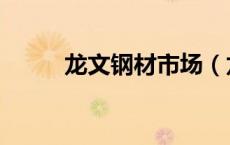 龙文钢材市场（龙文钢材网官网）
