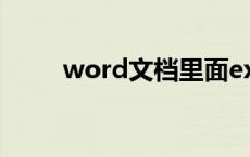 word文档里面excel表格怎么打开
