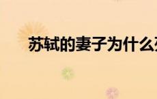 苏轼的妻子为什么死了（苏轼的妻子）