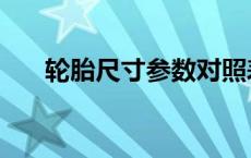 轮胎尺寸参数对照表解释（轮胎尺寸）
