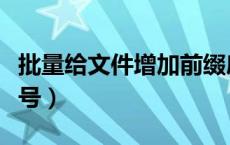 批量给文件增加前缀序号（批量给文件名加序号）