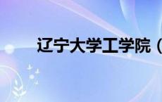 辽宁大学工学院（辽宁工学院官网）