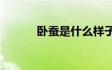 卧蚕是什么样子（卧蝉的意思）