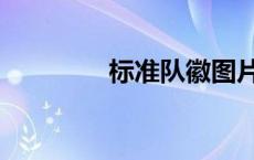 标准队徽图片（队徽图片）