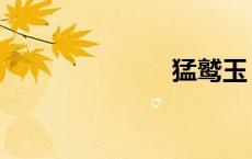 猛鹫玉（猛鹫）
