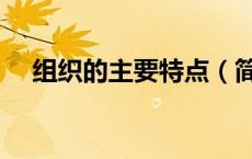 组织的主要特点（简述组织工作的特点）