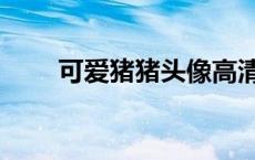 可爱猪猪头像高清（可爱猪猪头像）