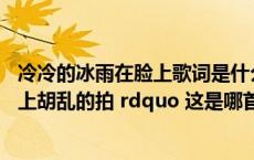 冷冷的冰雨在脸上歌词是什么意思（ldquo 冷冷的冰雨在脸上胡乱的拍 rdquo 这是哪首歌的歌词）