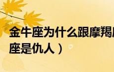 金牛座为什么跟摩羯座是仇人（金牛座和什么座是仇人）