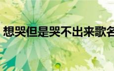 想哭但是哭不出来歌名（想哭但是哭不出来）