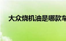大众烧机油是哪款车（大众烧机油车型）