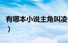 有哪本小说主角叫凌云（凌云是哪个小说主角）