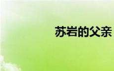 苏岩的父亲（苏岩前夫）