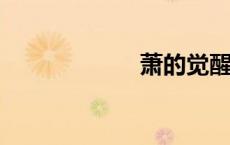 萧的觉醒在线阅读