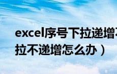 excel序号下拉递增不了（excel表格序号下拉不递增怎么办）