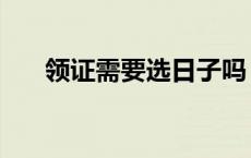 领证需要选日子吗（领证需要选日子）
