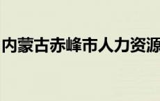 内蒙古赤峰市人力资源和社会保障局在哪个区