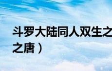 斗罗大陆同人双生之唐t（斗罗大陆同人双生之唐）