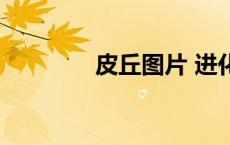 皮丘图片 进化（皮丘图片）